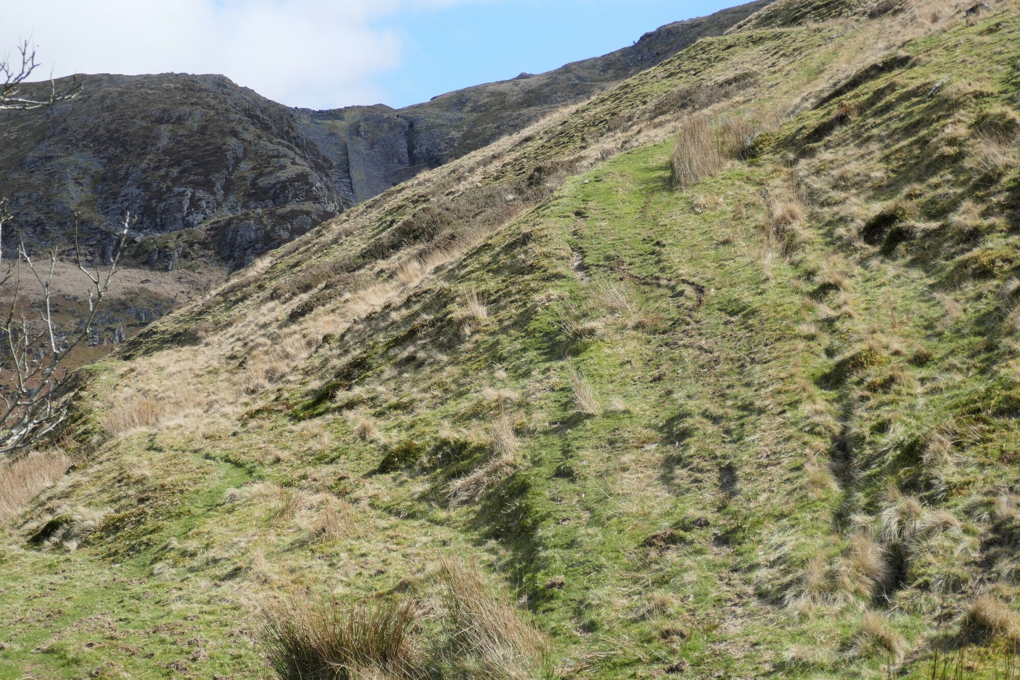 RachelSeabrook.net | Wild Walking | Cwm Cyneiniog and Craig y Pistyll | pic10